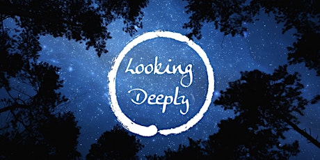 Looking Deeply: 6-Week Mindfulness Course (Online)  primärbild