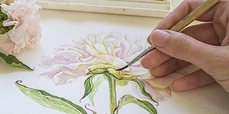 Watercolor Native Plants with Jodi Niss tickets