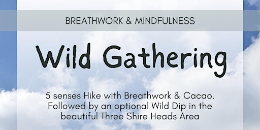 Wild Gathering - Mindfulness Hike with Breathwork, Cacao & Wild Swimming