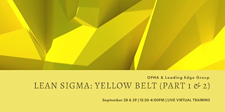 Lean Sigma Yellow Belt Virtual Training (SOLD OUT)