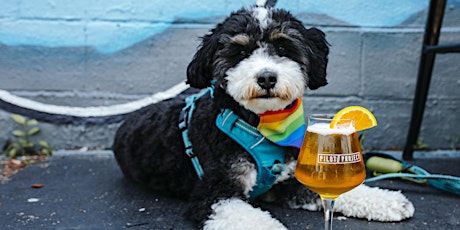 Dog Days of Summer at Pilot Project Brewing