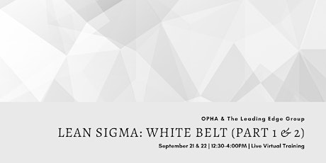 Lean Sigma White Belt Virtual Training (SOLD OUT)
