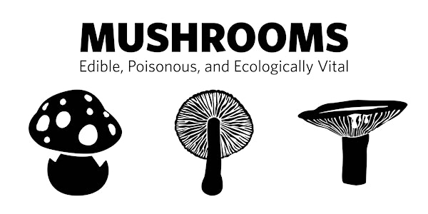 Mushrooms: Edible, Poisonous, and Ecologically Vital