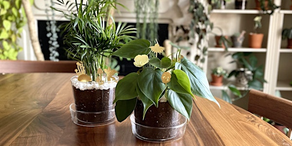 Plant Basics: How to Raise Houseplants Successfully