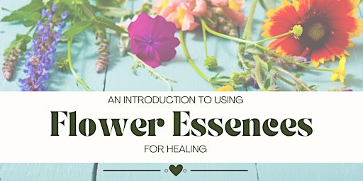 An Introduction to Using Flower Essences For Healing