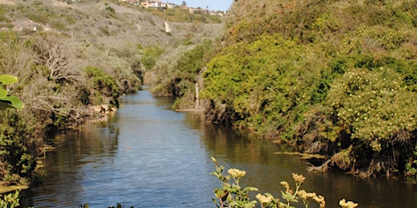 Nature Based Success Stories: Santa Barbara Creeks Division