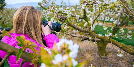 Capturing Springtime Flora at CherryHill Orchards