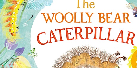 Go Play Workshop - The Wooly Bear Caterpillar