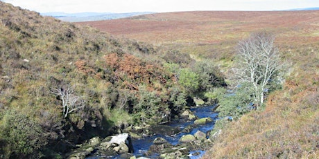 Owenbreen River Guided Trail with Dr Kirstin Lemon (World Rivers Day) tickets