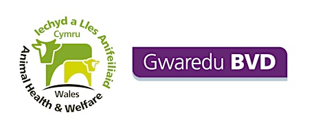 Gwaredu BVD- webinar on Welsh Government BVD consultation tickets