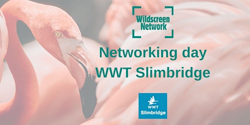 Networking day at WWT Slimbridge