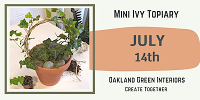 Mini Ivy Topiary