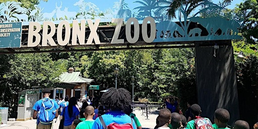 Summer Rising at the Bronx Zoo