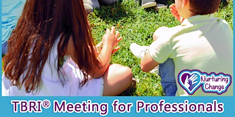 TBRI Meeting for Professionals tickets