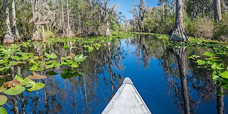 Okefenokee Destiny at Cine in Athens primary image