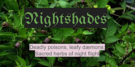 The Sorcerous Nightshades: Sacred Herbs of Night Flight tickets