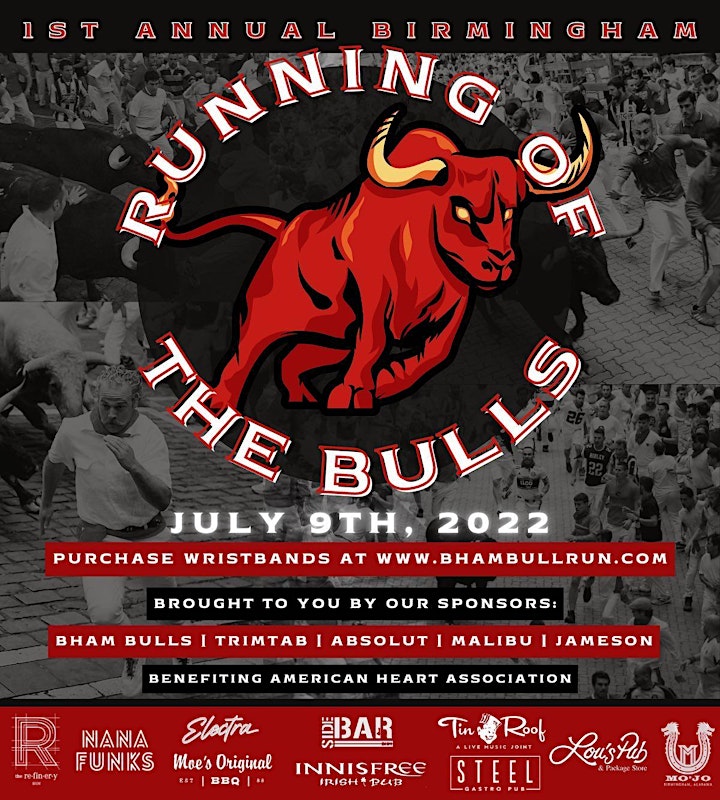 Birmingham Bull Run image