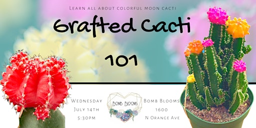 Colorful Cactus Grafting Workshop