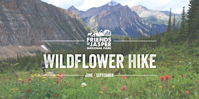 Wildflower Hikes: Cavell Meadows