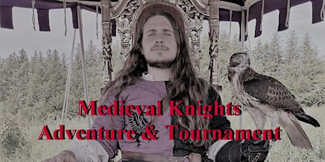 Medieval Knights Adventure & Tournament