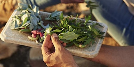 Gardening for Biodiversity Series - Indigenous Food, Fiber and Medicine tickets