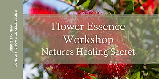 Flower Essence Workshop – Natures Healing Secret