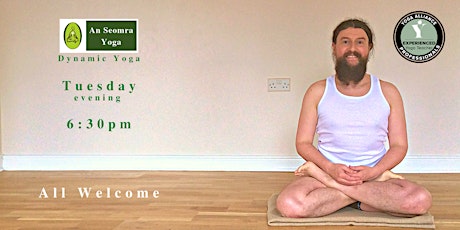SUMMER-EVENINGS YOGA in GALWAY CITY - Laurence tickets