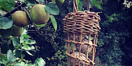 Make Your Own Bird Feeder Using Locally Grown Willow with Jenny Gracie