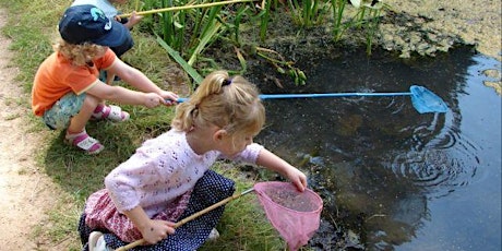 Pond Dipping tickets