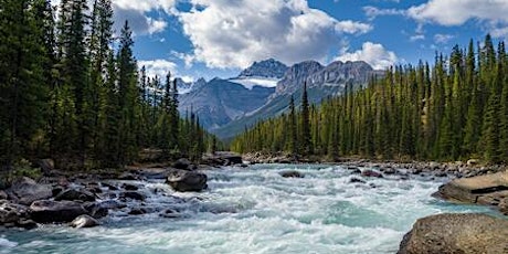 Visite du parc National de Banff (visite virtuelle live) billets