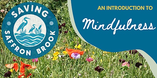 Introduction to Mindfulness primary image