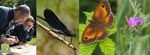 Collection image for Get to know 100 species of wildlife in your area!