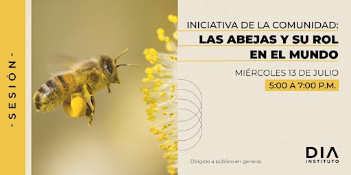 Iniciativa de la comunidad: Las abejas y su rol en nuestro mundo