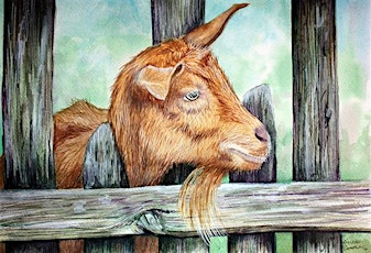 Paint a Farm Animal in Watercolor