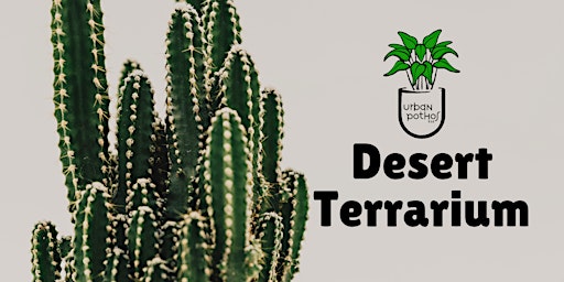 Desert Terrarium Workshop