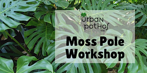 Moss Pole Workshop