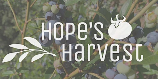 Blueberries with Hope's Harvest Tuesday, July 5th 9:00AM-11:00AM