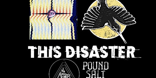 THE PINKERTONS + Kingfisher + No Small Affair + This Disaster + Pound Salt