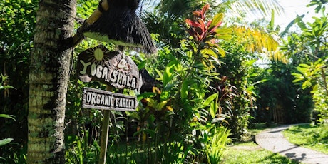 4 Day Yoga & Meditation Retreat in Bali - single accommodation tickets