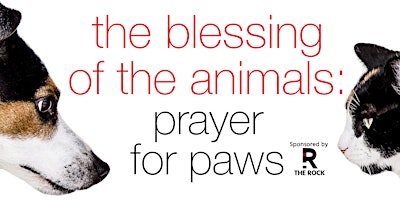 Animal Blessing