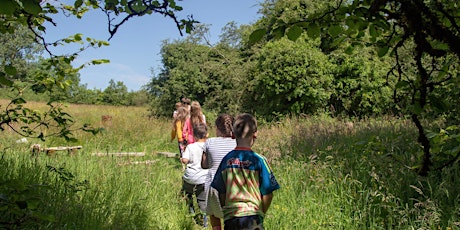 Corranny Forest Adventures (Age 7 -12) Session 1 tickets
