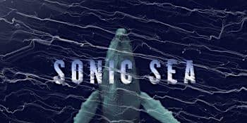 Documentary Screening of Sonic Sea