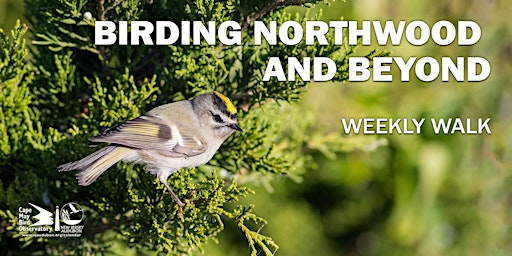 Birding Northwood and Beyond