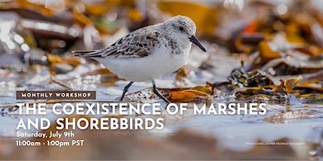 The Coexistence of Marshes and Shorebirds tickets