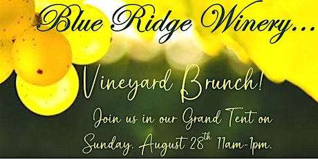 Vineyard Brunch at Blue Ridge Winery