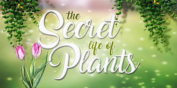2017 The Secret Life of Plants  4:00pm (PS 234, PS 276, and the Downtown Community Center)