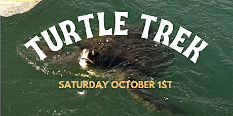 Los Cerritos Wetlands Nature Walk : Turtle Trek