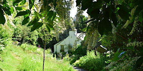 The Wordsworths and Gardening