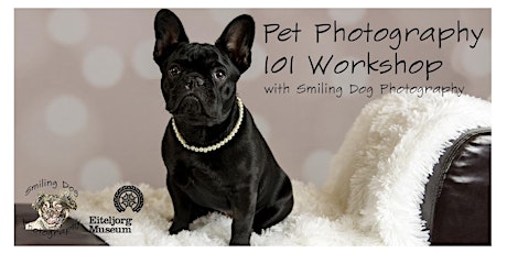 Pet Photography 101 