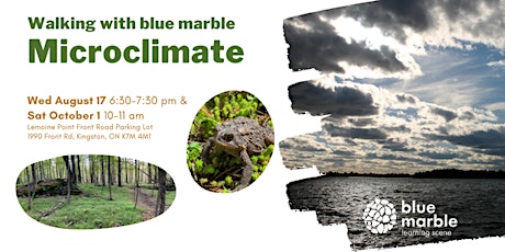 Walking with blue marble | Microclimate primary image